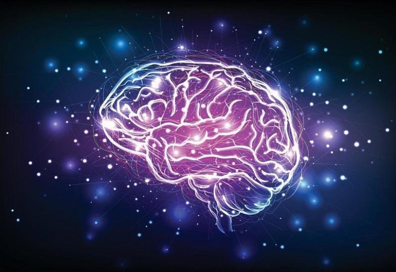 دراسة حديثة: الدماغ قادر على تخزين بيانات أكثر بعشرة أضعاف!