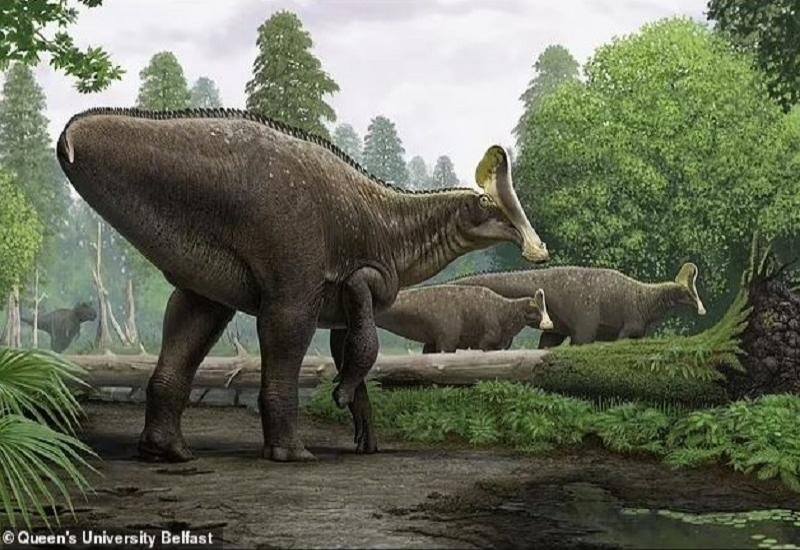 اكتشاف هيكل ديناصور ضخم عمره 80 مليون عام في ولاية أميركية
