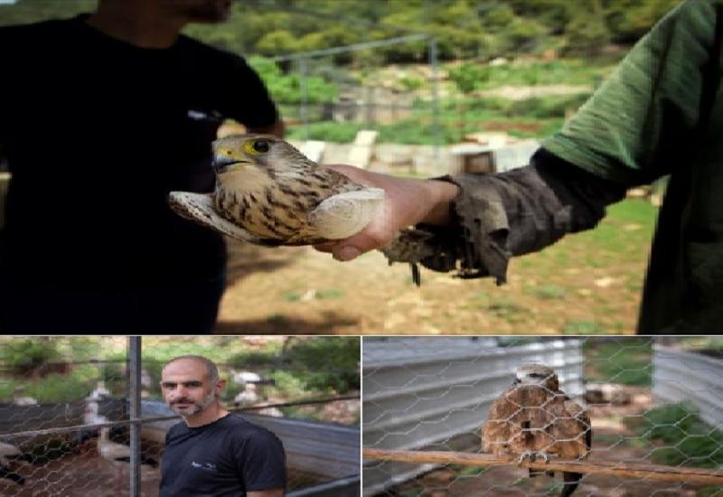 بعد مقال عالمي في الغارديان تناول جهود ناشطين لبنانيين بالمحافظة على الطيور ... التيك توك يغير سياساته!