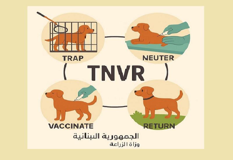 الخطة الوطنية لمكافحة داء الكَـلـَب... خطوة نوعية لوزارة الزراعة اللبنانية