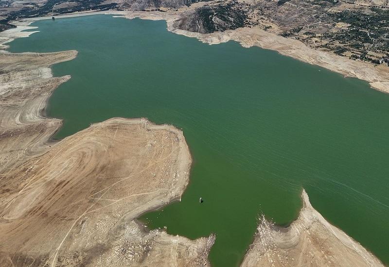 Living Without Water or Paying Unbearable Prices: Lebanon's Worst Drought Threatens Food, Livestock, and Biodiversity.