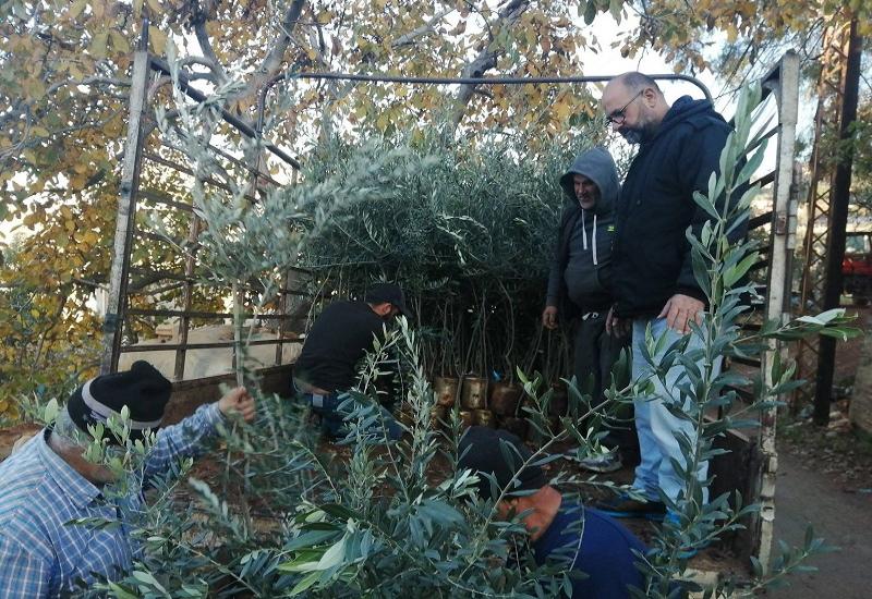 جمعية الجنوبيون الخضر توزع شتول زيتون في عيتا الشعب دعماً للمزارعين المتضررين