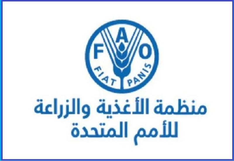 في اليوم الدولي للتعاونيات... الفاو تسلط على دورها في تعزيز صمود المجتمعات الريفية في لبنان