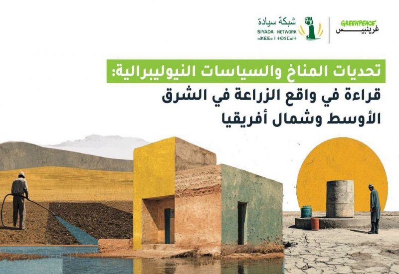 غرينبيس MENA وشبكة سيادة تطلقان سلسلة مقالات تكشف تحديات القطاع الزراعي في شمال أفريقيا